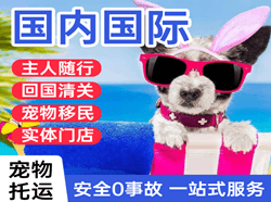 东阳横店机场快运国际宠物托运 【国